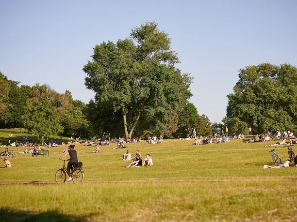 Cologne green belt People relax and enjoy the sun in a spacious park with green meadows and large trees, while a few bicycles are parked on the lawn. In the foreground, someone is riding along on a bicycle.