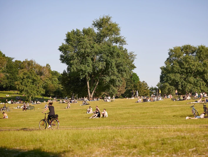 Cologne green belt Menschen entspannen und genießen die Sonne in einem weitläufigen Park mit grünen Wiesen und großen Bäumen, während ein paar Fahrräder auf der Wiese geparkt sind. Im Vordergrund fährt jemand mit dem Fahrrad entlang.People relax and enjoy the sun in a spacious park with green meadows and large trees, while a few bicycles are parked on the lawn. In the foreground, someone is riding along on a bicycle.