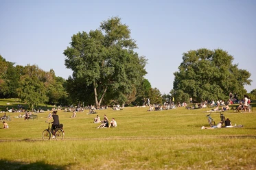 Kölner Grüngürtel Menschen entspannen und genießen die Sonne in einem weitläufigen Park mit grünen Wiesen und großen Bäumen, während ein paar Fahrräder auf der Wiese geparkt sind. Im Vordergrund fährt jemand mit dem Fahrrad entlang.