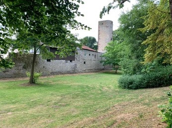 Storchenturm, Stadtmauer, Natur, Wallanlagen, CC0 (4).jpg