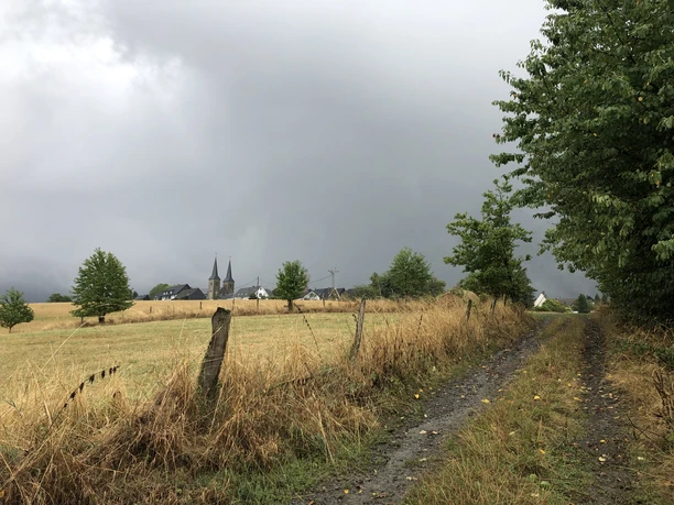 Blick auf den Marialindener Dom Dorfkirche mit Doppelturm in regnerischer Landschaft, umgeben von Feldern und Bäumen im Nebel.