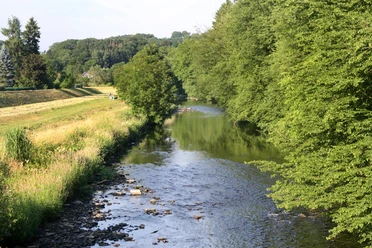 Agger in Overath Idyllischer Fluss mit dicht bewachsenen Ufern in einer grünen, bewaldeten Landschaft bei Tageslicht.