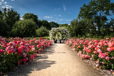 Magdalenengarten CC0 (35).JPG