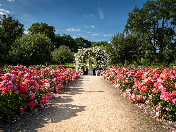 Magdalenengarten CC0 (35).JPG