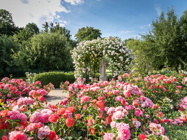 Magdalenengarten CC0 (36).JPG