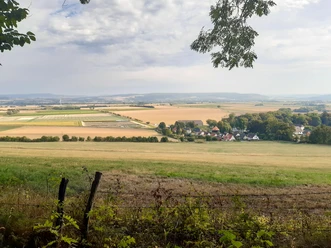 AussichtMoosbank.jpg