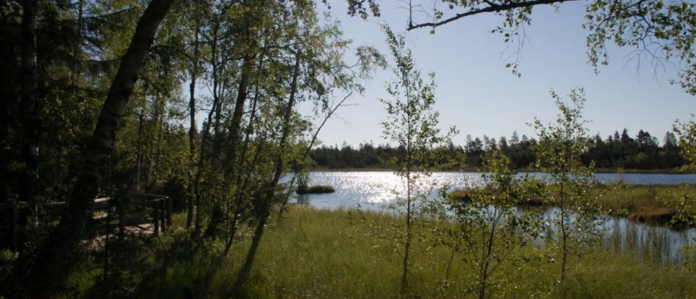 Kaltenbronn und das Wildseemoor IZ