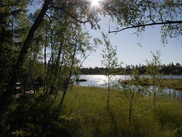Kaltenbronn und das Wildseemoor IZ
