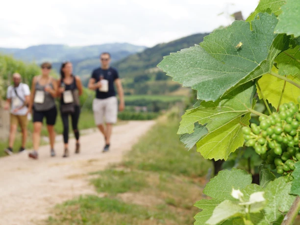 Weinwanderung Kappelrodeck