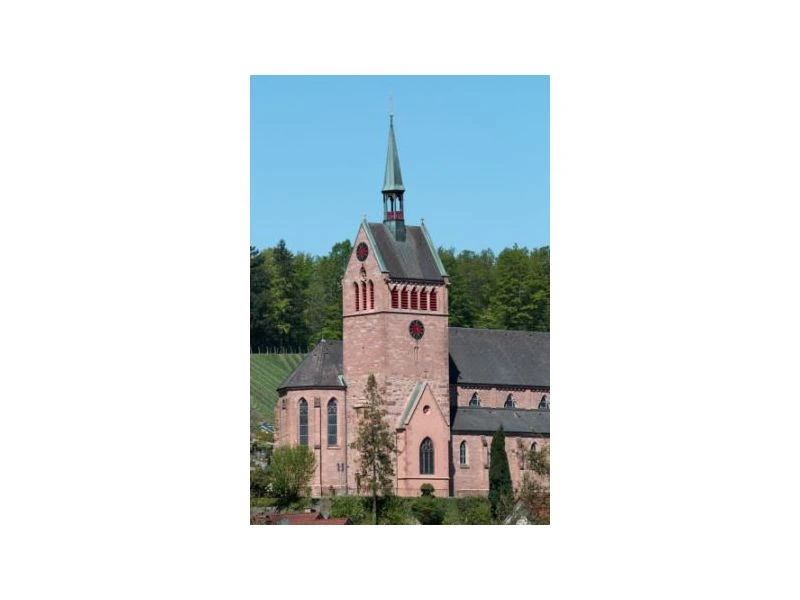 Pfarrkirche St. Albin Waldulm