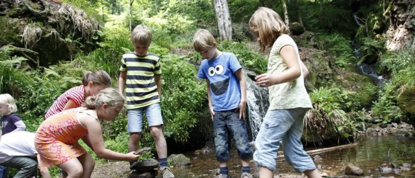Schnitzeljagd im Wald