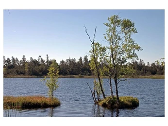 Wildsee Kaltenbronn Infozentrum