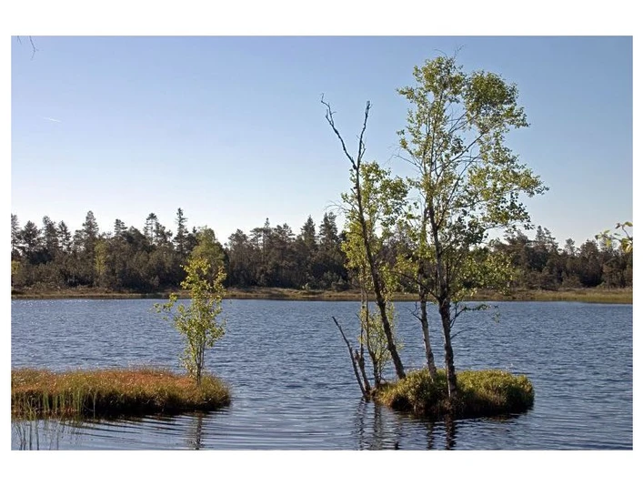 Wildsee Kaltenbronn Infozentrum