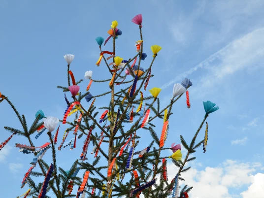 Gernsbach Reichental Maibaum