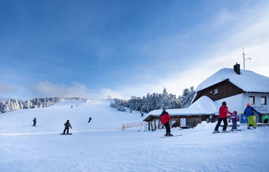 Skilift Seibelseckle