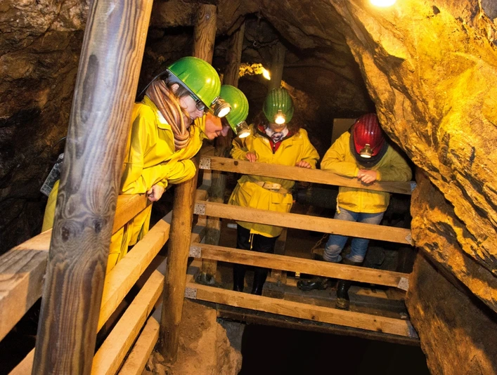 Oberwolfach_Grube-Wenzel_Gruppe-schauen_240416_300dpi_4c