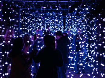 Re_unten_Christmas Garden_Clemens ©Christmas Garden-Michael Clemens (7).jpg