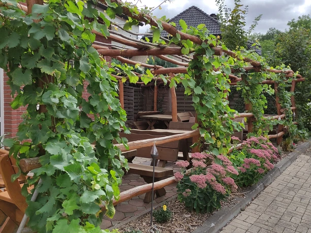 Gasthaus Schadde Terasse Holzüberdachte Terrasse mit grünen Weinreben, rustikalen Holztischen und blühenden Pflanzen.