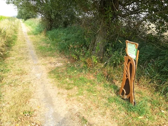 Hörstation "Wat? Watt und Watt?"