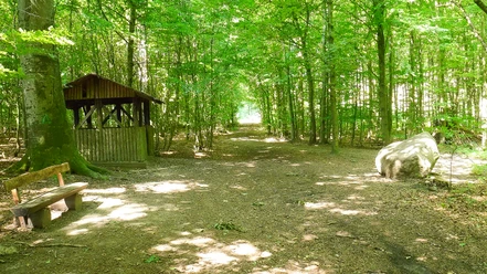Schutzhütte und Karl-Bachler-Gedenkstein unterwegs entdecken Schutzhütte am Karl-Bachler-Gedenkstein nahe Bad Salzuflen