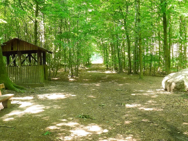 Schutzhütte und Karl-Bachler-Gedenkstein unterwegs entdecken Schutzhütte am Karl-Bachler-Gedenkstein nahe Bad Salzuflen