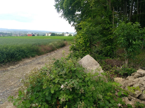 Aussicht vom Karl-Bachler-Weg Aussicht vom Karl-Bachler-Weg