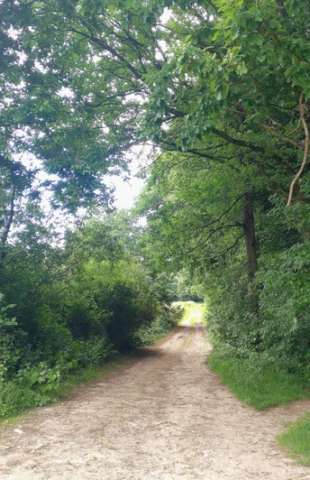 unterwegs am Karl-Bachler-Weg unterhalb des Vierenberges unterwegs am Karl-Bachler-Weg unterhalb des Vierenberges