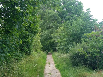 Karl-Bachler-Wanderweg