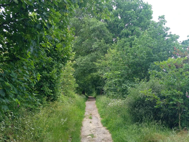 am Karl-Bachler-Wanderweg unterwegs Karl-Bachler-Wanderweg