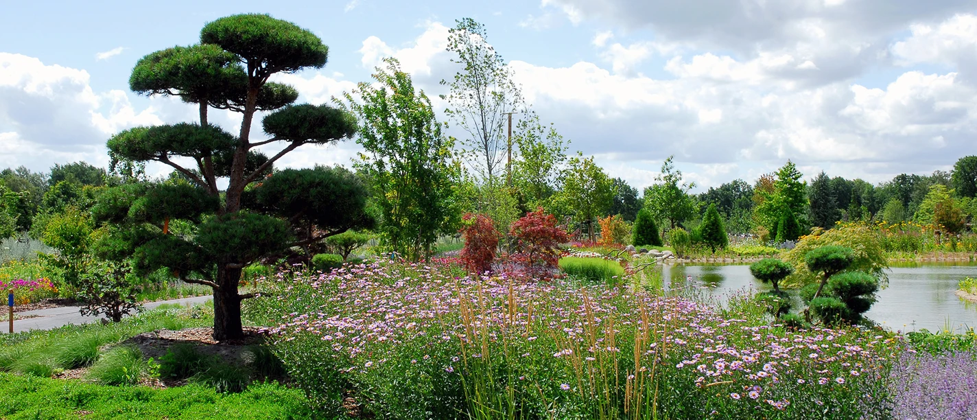Opa Ernys Garten.jpg Blühender Garten mit Ahornbäumen und Teich