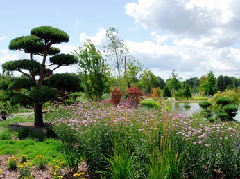 Opa Ernys Garten.jpg Blühender Garten mit Ahornbäumen und Teich