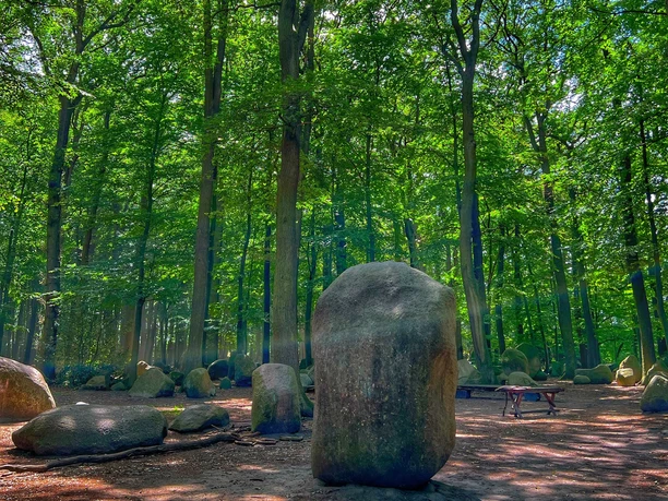 Große, unregelmäßige Findlinge auf waldigem Boden, umgeben von hohen, dicht belaubten Bäumen.
