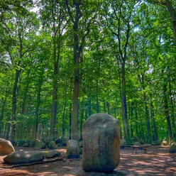 Findlingswald Neuenknick Große, unregelmäßige Findlinge auf waldigem Boden, umgeben von hohen, dicht belaubten Bäumen.