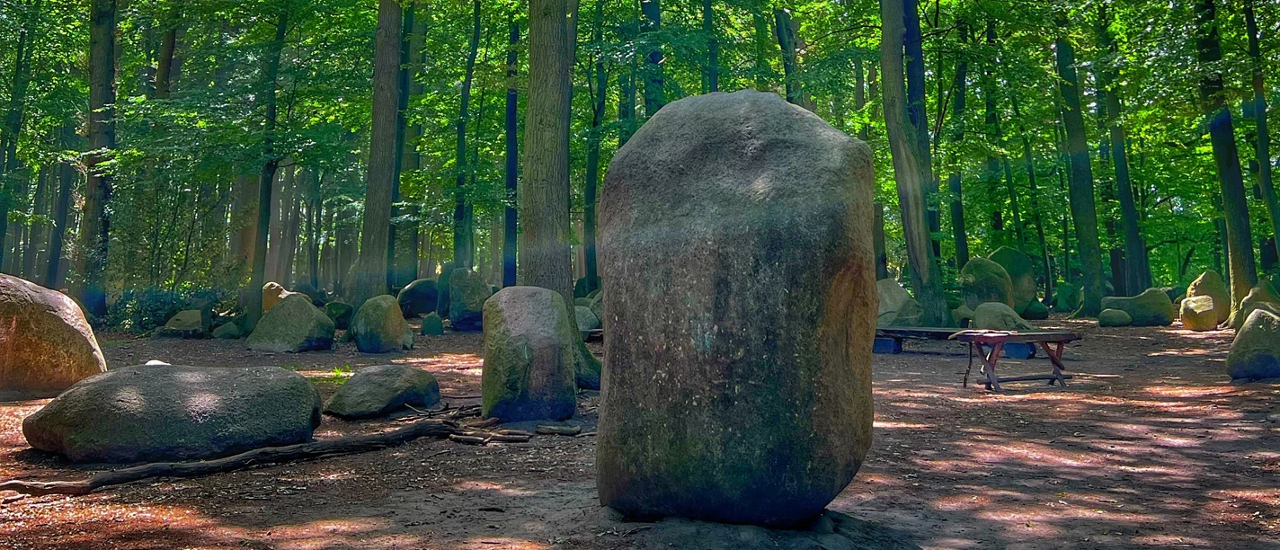 Findlingswald Neuenknick Große, unregelmäßige Findlinge auf waldigem Boden, umgeben von hohen, dicht belaubten Bäumen.