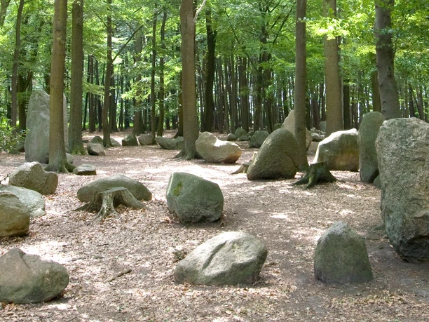 Große, verstreute Findlinge liegen im lichtdurchfluteten Wald von Neuenknick zwischen hohen Bäumen.