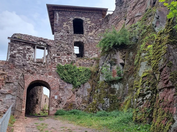 Burgruine Hohnstein - Eva Adamek.jpg