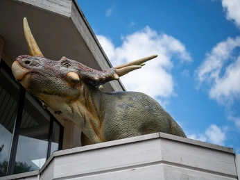 Naturzeitmuseum-Bad-Sachsa - ©North Star Chronicles, Miriam Heun.jpg