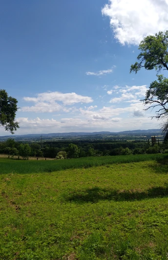 Faszinierende Aussicht nahe Hollenstein Ausblicke in die Ferne bei Hollenstein