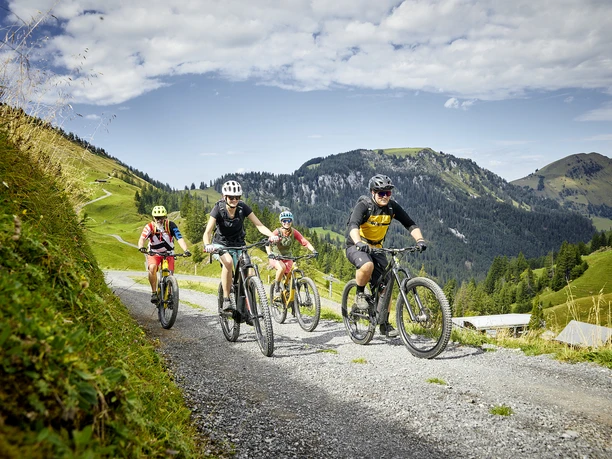 Mountainbiken_Klewenalp_Herbst_Goldiroute.jpg