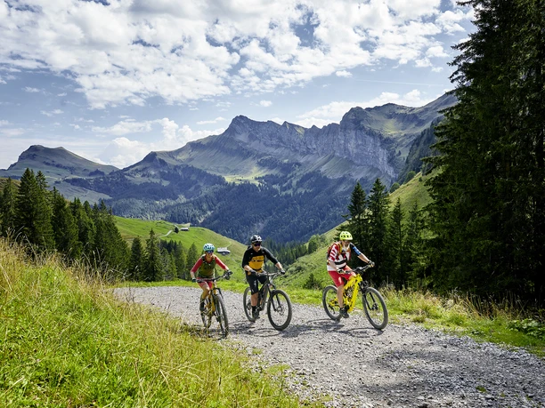 Mountainbiken_Klewenalp_Herbst_Goldiroute2.jpg