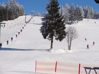 Skihang Ruhestein copyright Tourist Info Seebach