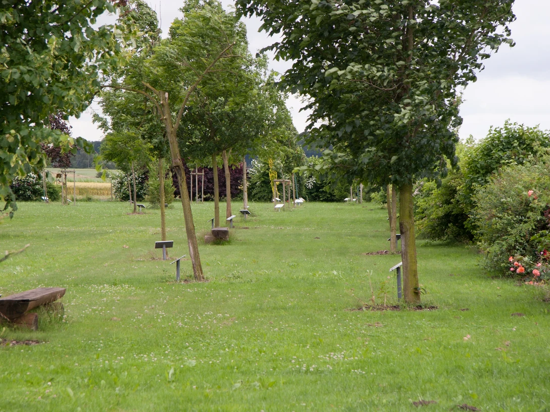 Eine grüne Parklandschaft mit gepflegtem Rasen, mehreren jungen Bäumen und verstreuten Sitzbänken.