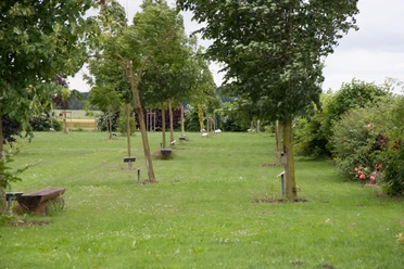 Erlebniswald Bierde Eine grüne Parklandschaft mit gepflegtem Rasen, mehreren jungen Bäumen und verstreuten Sitzbänken.