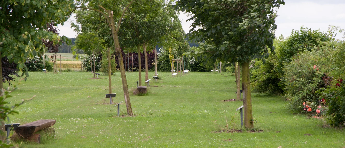 Erlebniswald Bierde Eine grüne Parklandschaft mit gepflegtem Rasen, mehreren jungen Bäumen und verstreuten Sitzbänken.