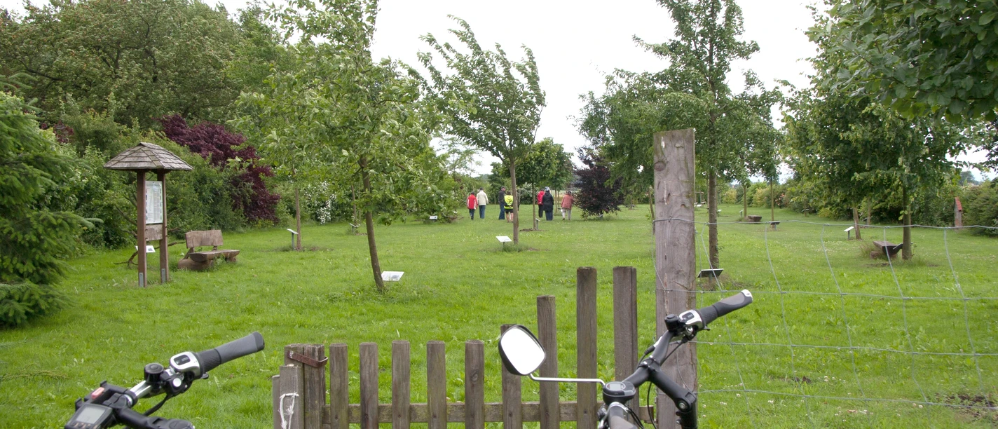 Zwei Fahrräder stehen vor einem Holztor, dahinter eine grüne Wiese mit jungen Bäumen und Spaziergängern.