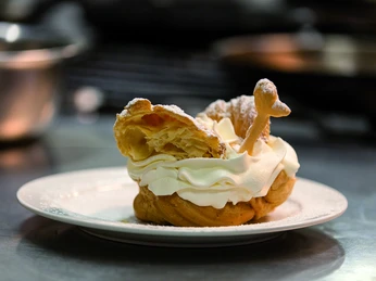 Weser Thermen Schwan