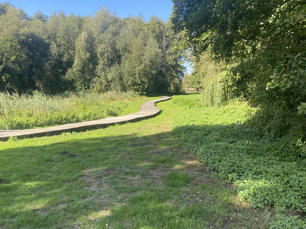 Blick auf den Moorgartenweg Ein geschwungener Pfad führt durch eine grüne Parklandschaft mit Bäumen und blauem Himmel im Hintergrund.