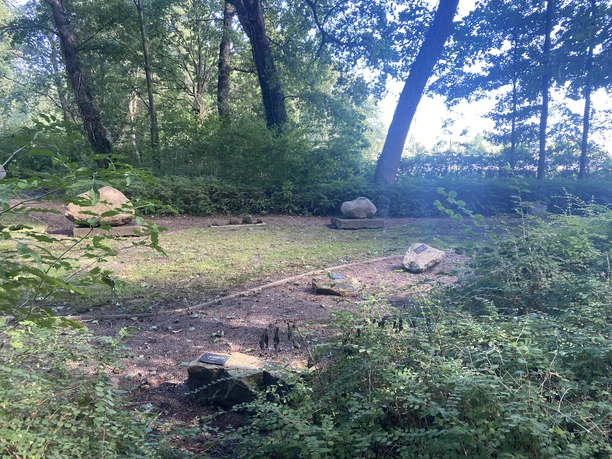 Naturpfad mit Findlingen zwischen Bäumen lädt zu Erkundungen ein, von Pflanzen gesäumt, friedvolle Atmosphäre.