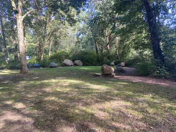 Blick in den Findlingsgarten Ein Waldgarten mit verstreuten Findlingen, umgeben von hohen Bäumen, unter einem klarblauen Himmel.