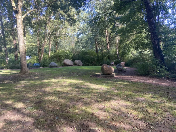 Ein Waldgarten mit verstreuten Findlingen, umgeben von hohen Bäumen, unter einem klarblauen Himmel.